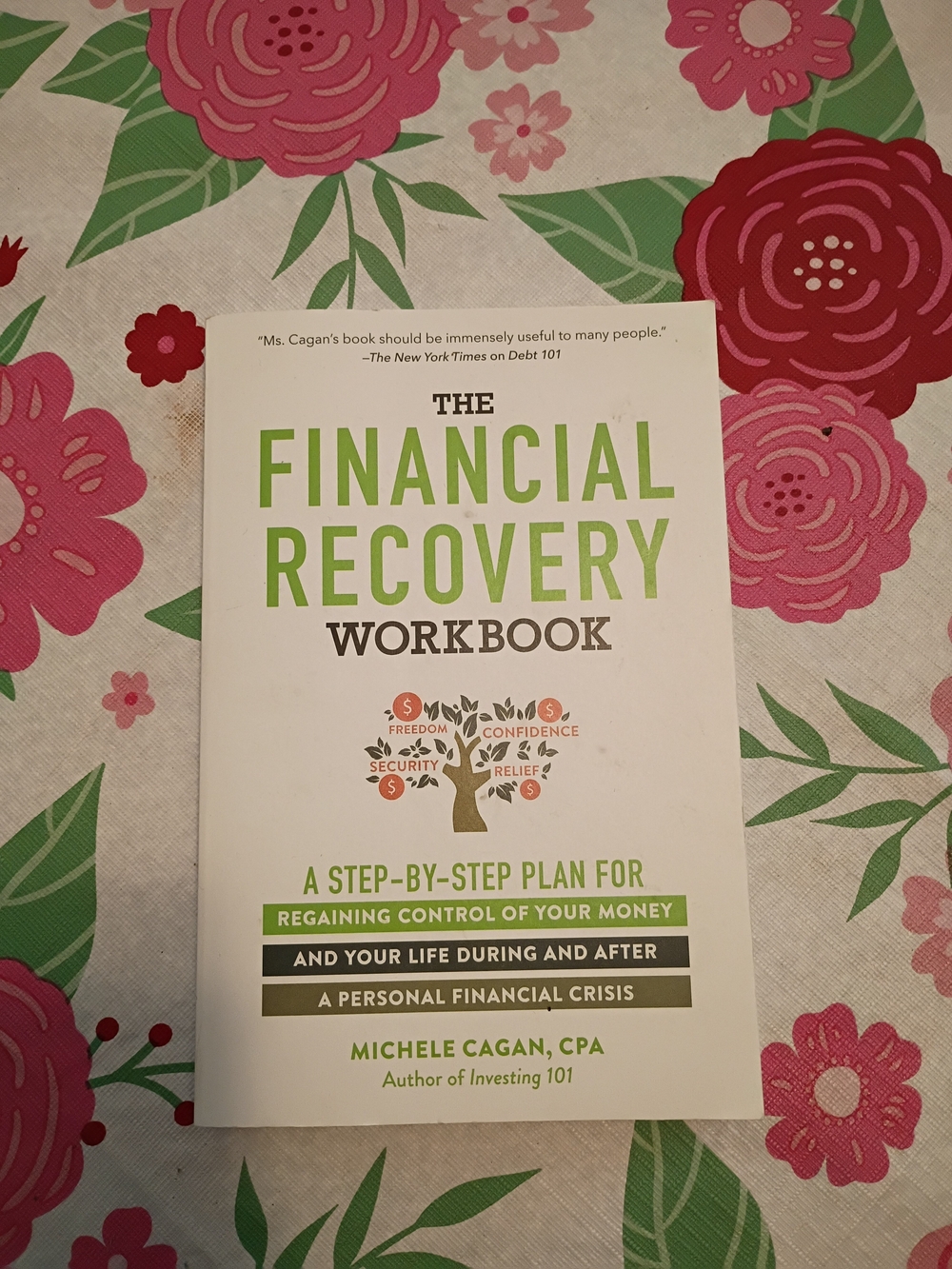 The Financial Recovery Workbook by Michele Cagan - White & Green Cover